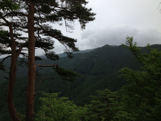 f0017897_9545777.jpg