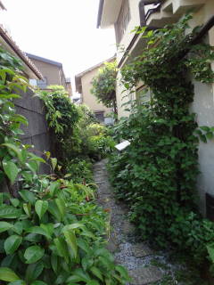 f0213805_221136.jpg