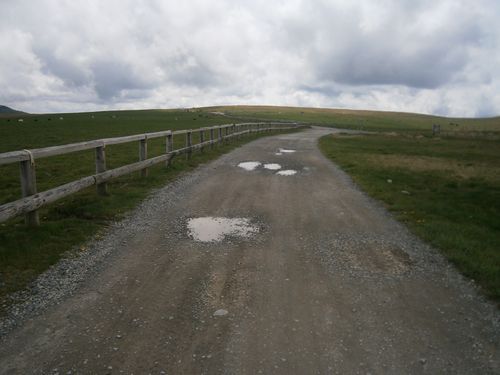 b0172911_184759100.jpg