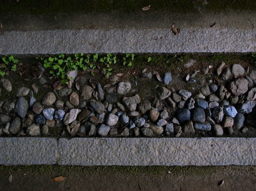 e0145711_12482851.jpg