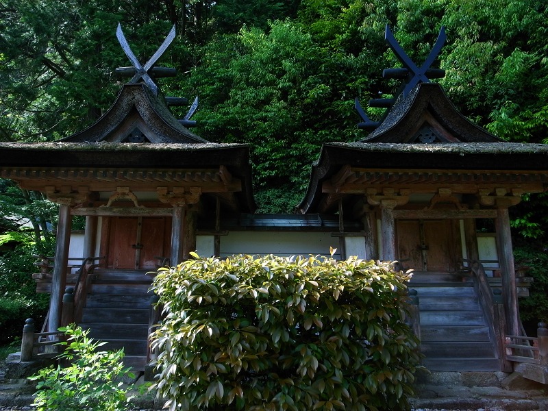 e0145711_2441950.jpg