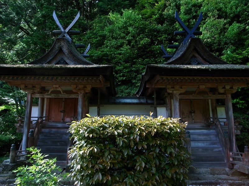 忍辱山円城寺_e0145711_2441950.jpg