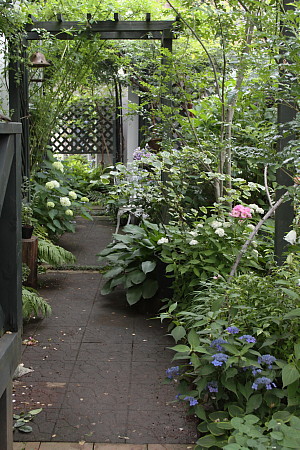 f0131611_6453923.jpg