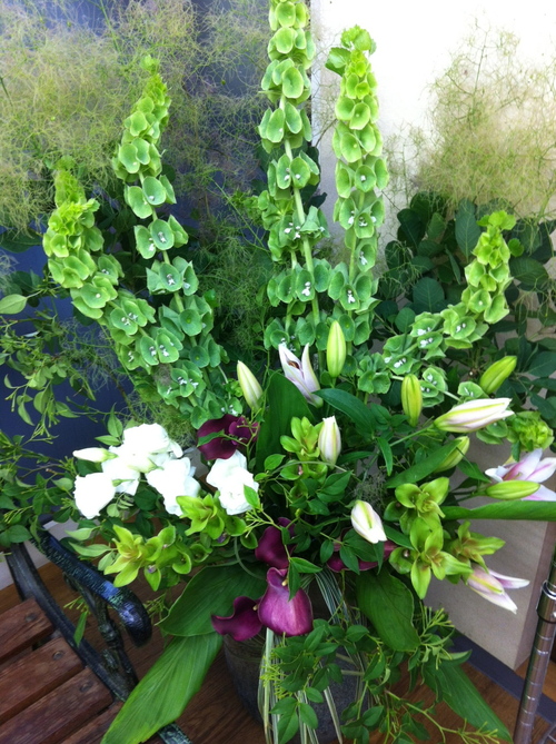 今週のお花とセール情報_a0200423_20392038.jpg