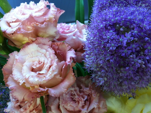 今週のお花とセール情報_a0200423_20412328.jpg