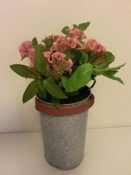 お花に囲まれて・・・♪ 6/16①_b0247223_1543387.jpg
