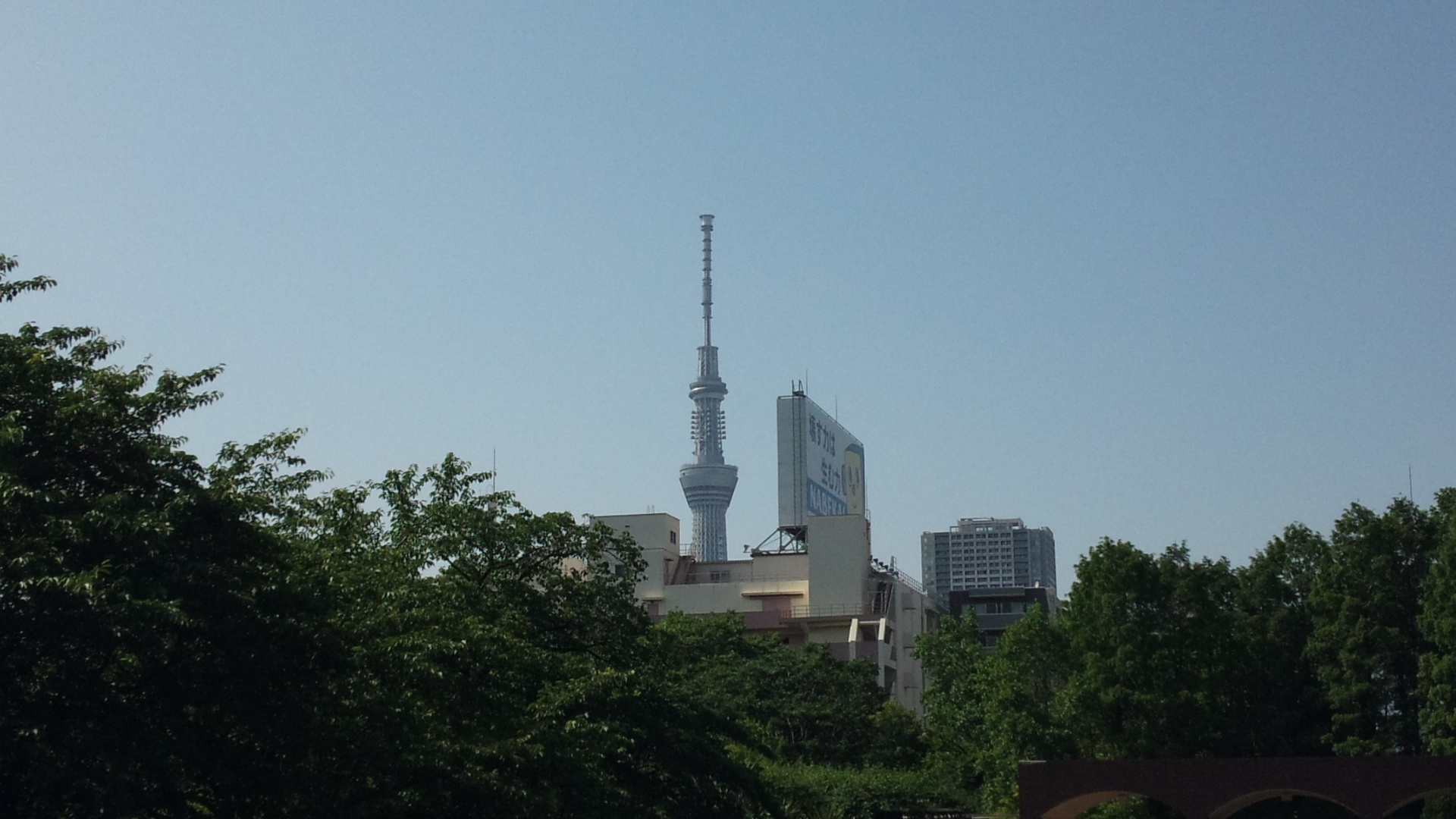 b0238426_1454978.jpg