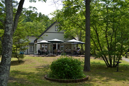 Teasalon軽井沢の芽衣 木漏れ日ランチ 12 楽しいことさがし