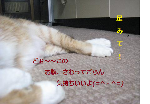 e0255638_217359.png