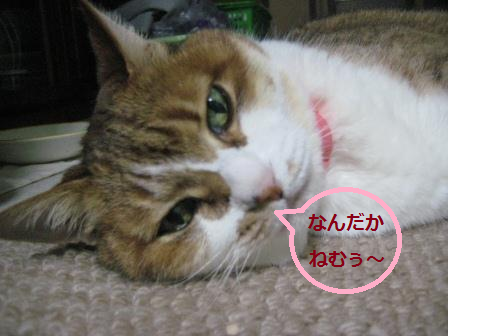 e0255638_217451.png