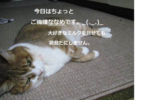 e0255638_2185290.png