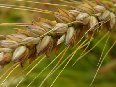 f0206939_2210880.jpg