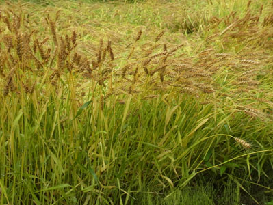 f0206939_2284968.jpg