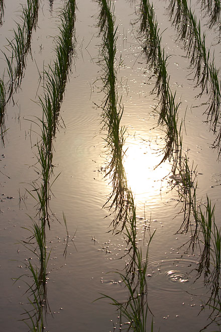 c0067040_734159.jpg