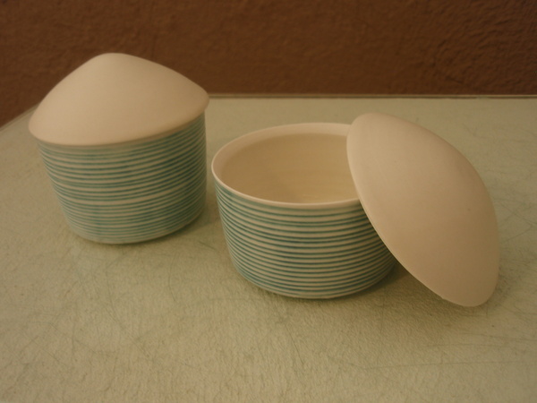 照井壮 うつわ展_b0132442_16285366.jpg