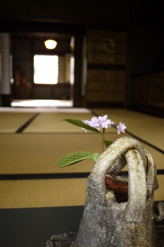 野の花と人形展 旧篠原家住宅_e0227942_20513380.jpg