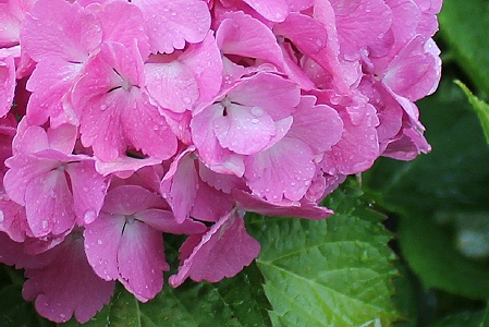 a0243143_18234348.jpg