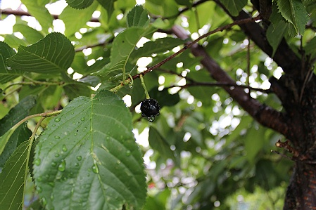 a0243143_18295159.jpg