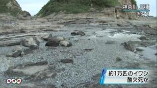 予兆?_a0155844_16353980.jpg