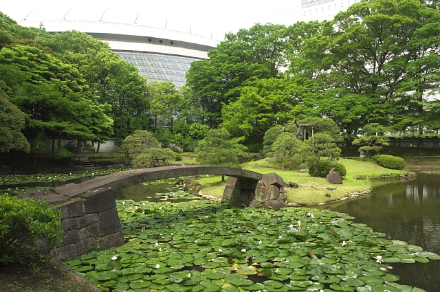 東京花散歩　小石川後楽園　（２）_b0122448_19562036.jpg