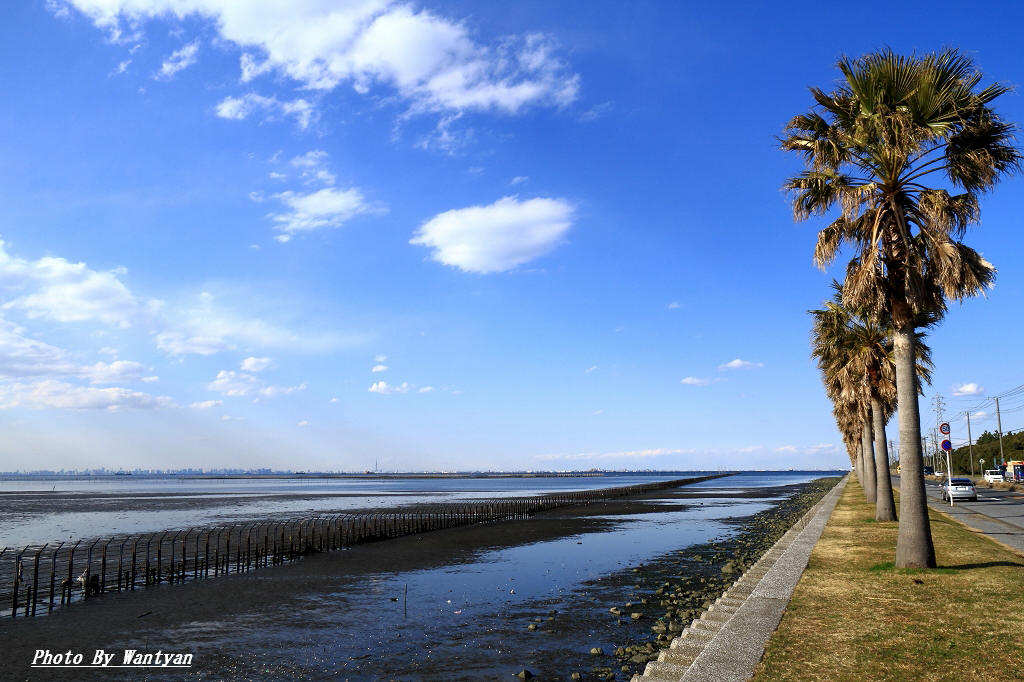 袖ヶ浦海浜公園　　　　2012－06－17　更新_e0229455_0234016.jpg