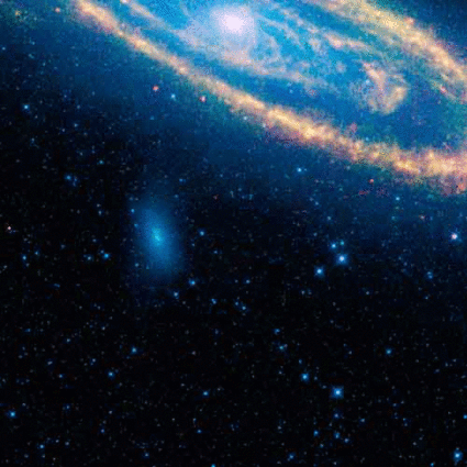 d0082759_2111234.gif