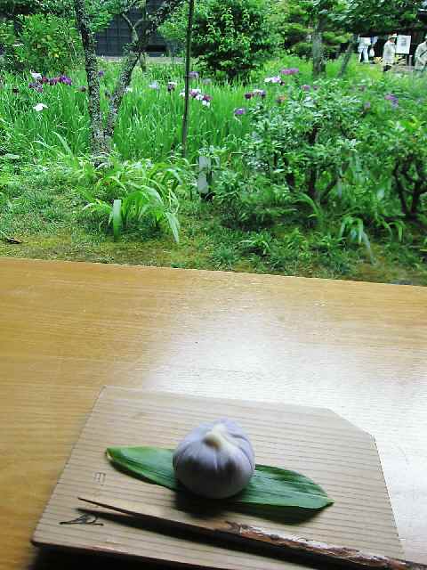 【東慶寺の初夏の花々とお茶席】_c0042960_1548199.jpg