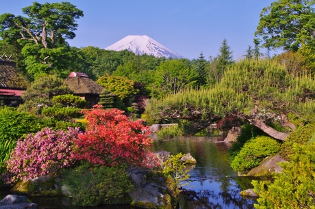 最新富士山の撮影記録_d0229560_1124290.jpg