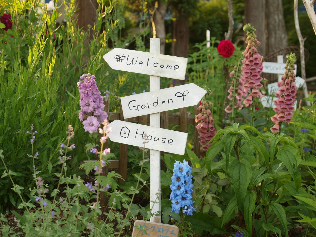 12 Kimoto Rosegarden 6月2週目のようす ガーデンカフェ デリカ Kimoto