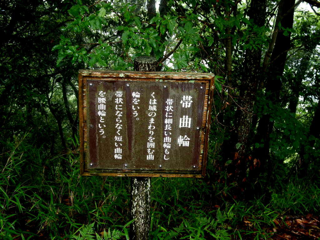 No222 岡山の佐伯天神山_b0185573_1152831.jpg