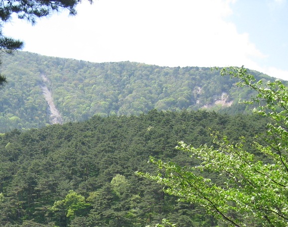 半田沼―亀張水路②～半田散歩から⑤_a0087378_434328.jpg