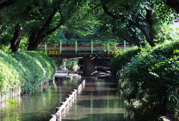 二ヶ領用水_a0248481_1057725.jpg