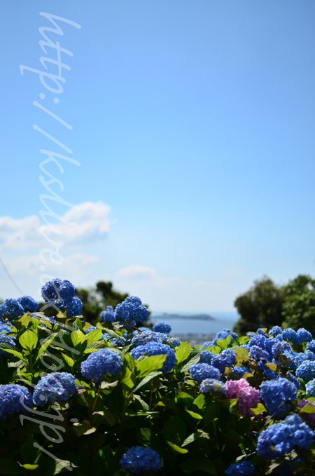 a0220782_23335220.jpg