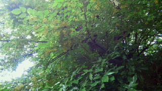 d0030693_1532747.jpg