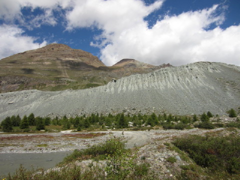 c0180096_421396.jpg