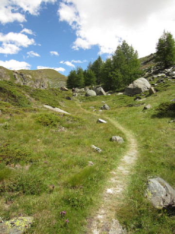c0180096_4255683.jpg