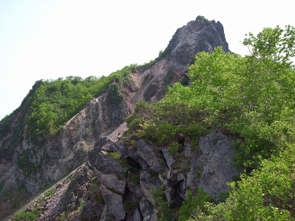  6月15日、恵庭岳体力測定登山－その2－_f0138096_17464963.jpg