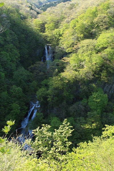 中禅寺湖近く、いろいろ_c0183002_12121173.jpg