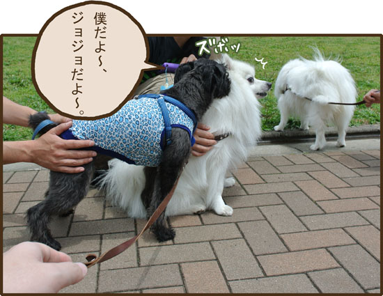 まだ犬まみれたし。_d0212419_20262938.jpg