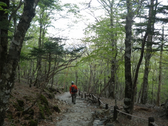 大台ケ原 サマーコレクション 2012年5月26日_d0013721_23205583.jpg