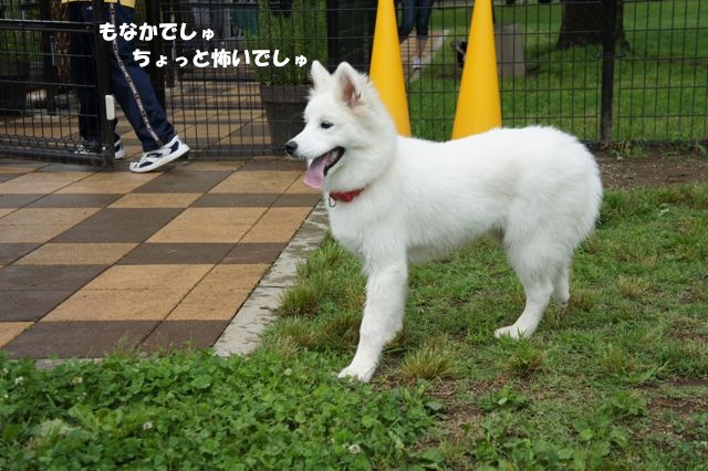 雨があがった！ランランラン！！！_その一_f0234023_17145587.jpg