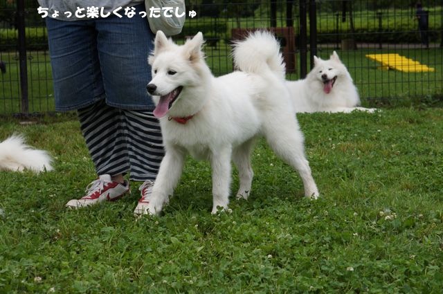 雨があがった！ランランラン！！！_その一_f0234023_17243278.jpg