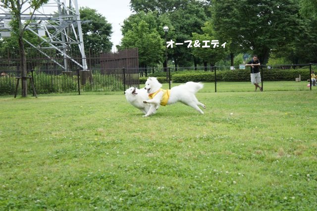 雨があがった！ランランラン！！！_その一_f0234023_17371228.jpg