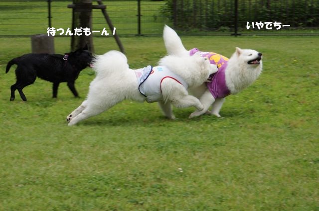 雨があがった！ランランラン！！！_その一_f0234023_1739106.jpg