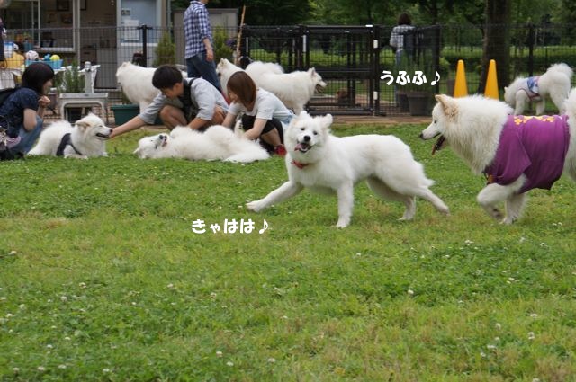 雨があがった！ランランラン！！！_その一_f0234023_17521039.jpg