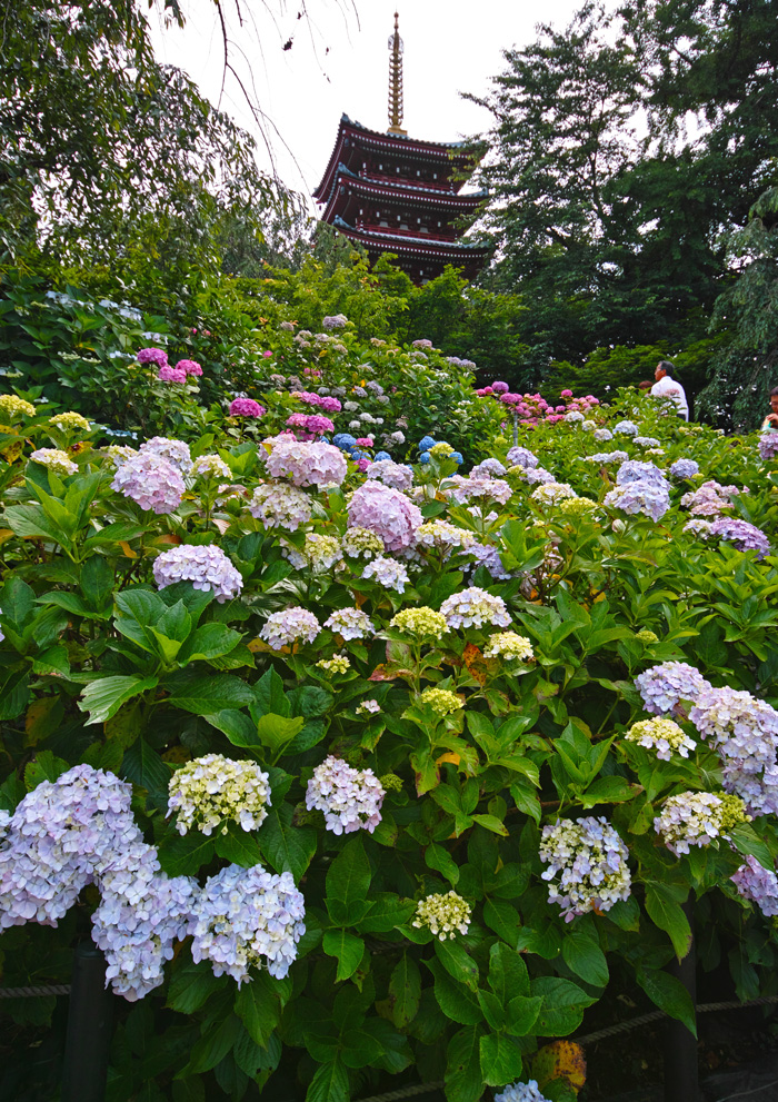 c0223825_22423552.jpg