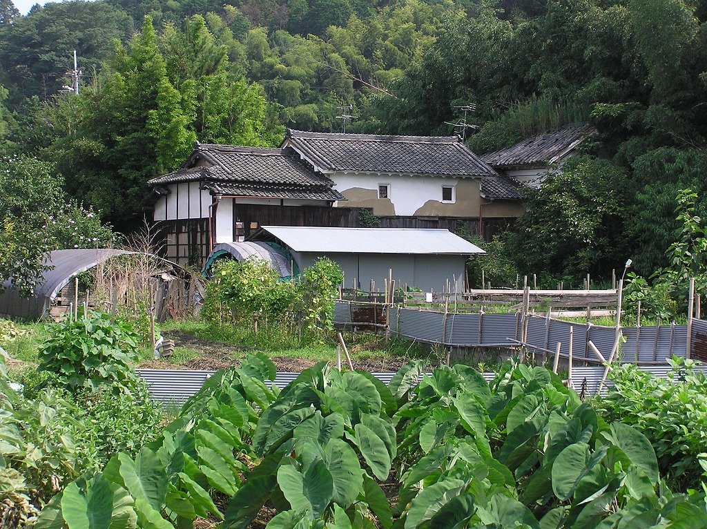 万葉集その三百七十六(山辺の道：海石榴市：つばいち)_b0162728_7342169.jpg