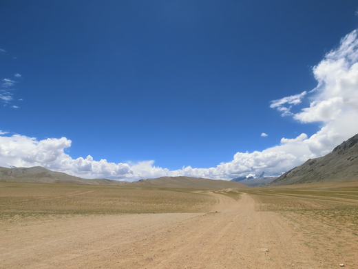 チベタンと行く涙のツォモリリ２日目。暴風雨。スムドで１泊。_b0129832_1502472.jpg