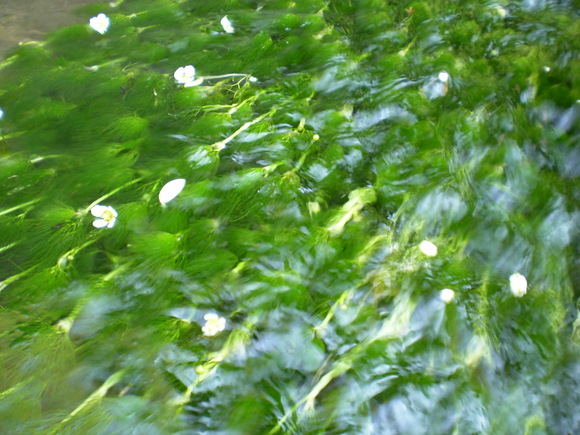 e0262235_17542774.jpg