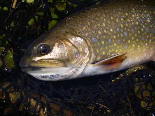 e0262235_17551411.jpg
